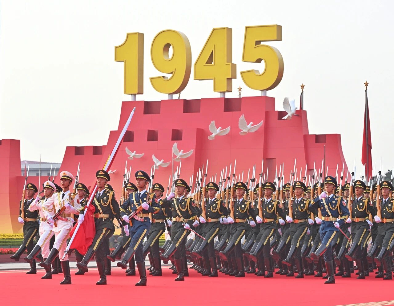 31913_f864_6847.png